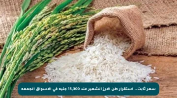 سعر ثابت.. استقرار طن الأرز الشعير عند 15,300 جنيه في الأسواق الجمعة